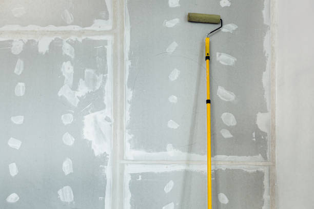 Best Water-Damaged Drywall Repair  in Fremont, NC