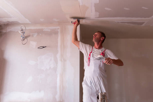 Best Drywall Texturing  in Fremont, NC